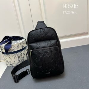 Dior Waist & Chest Packs